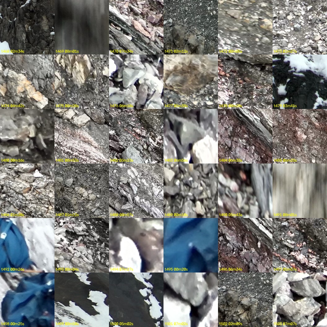 montage_13.jpg