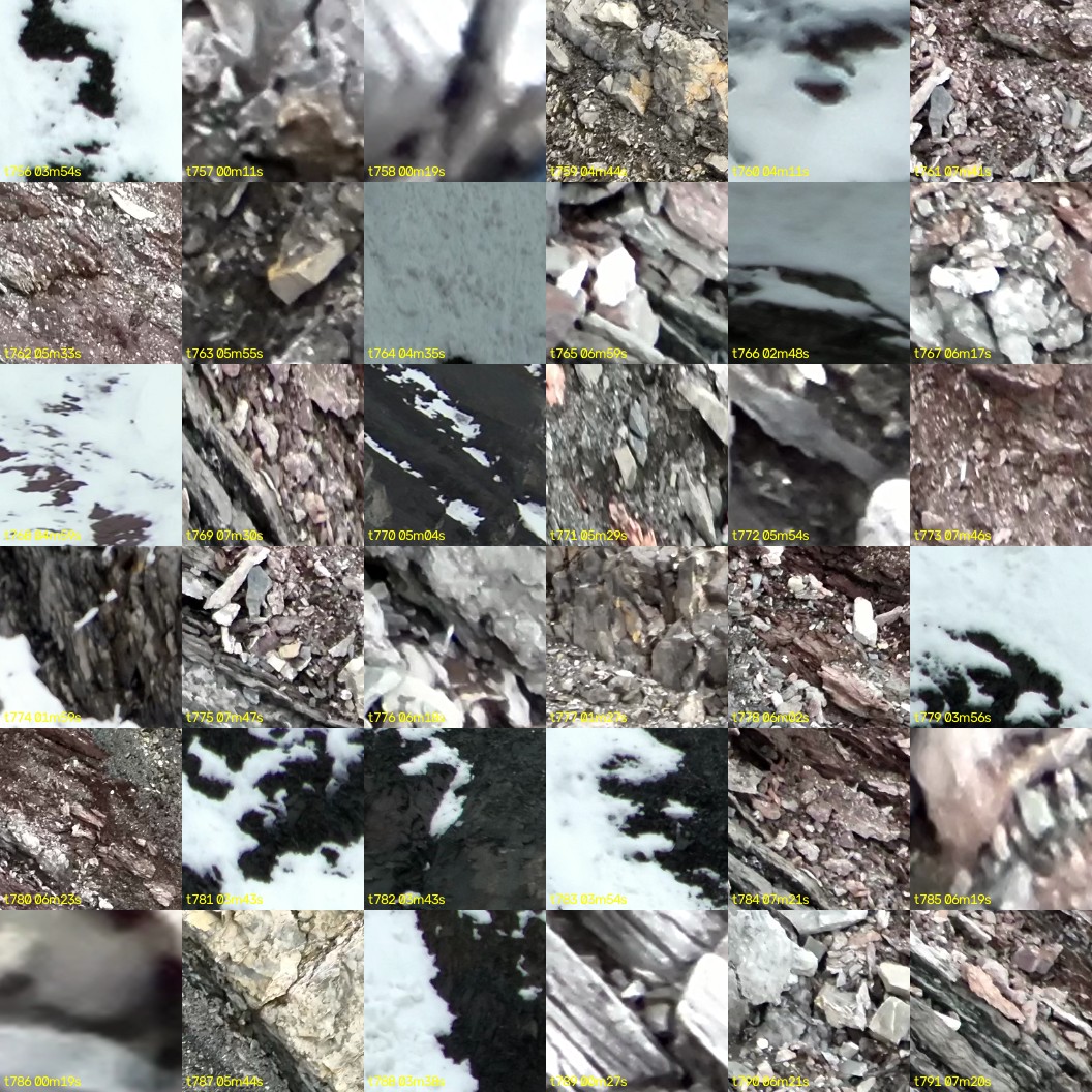 montage_21.jpg