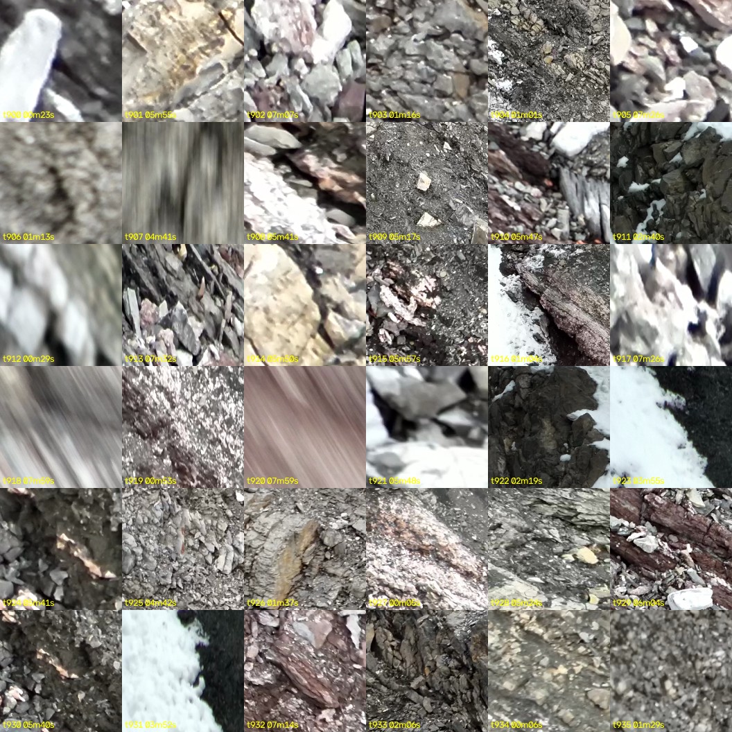 montage_25.jpg