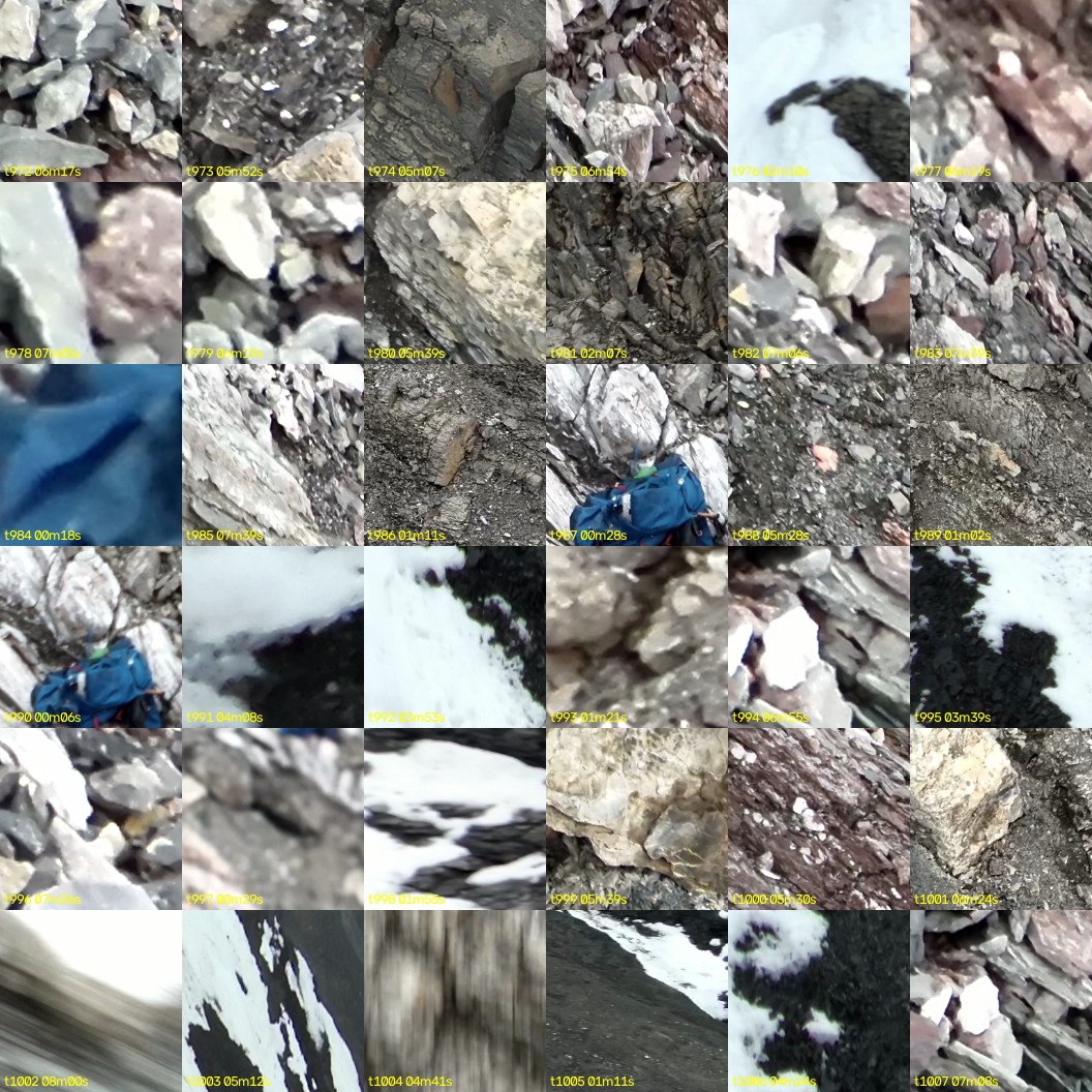 montage_27.jpg