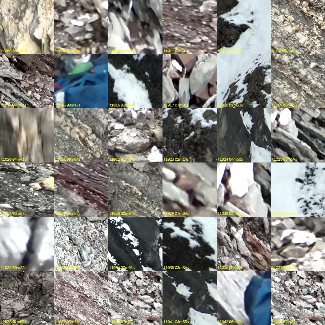 montage_28.jpg