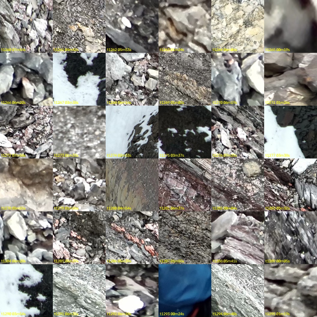 montage_35.jpg