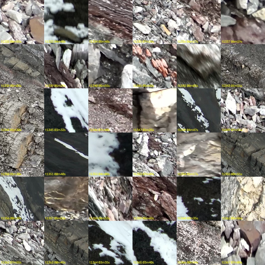 montage_37.jpg