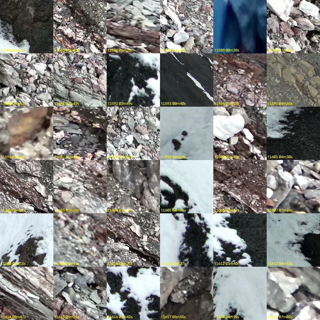 montage_44.jpg