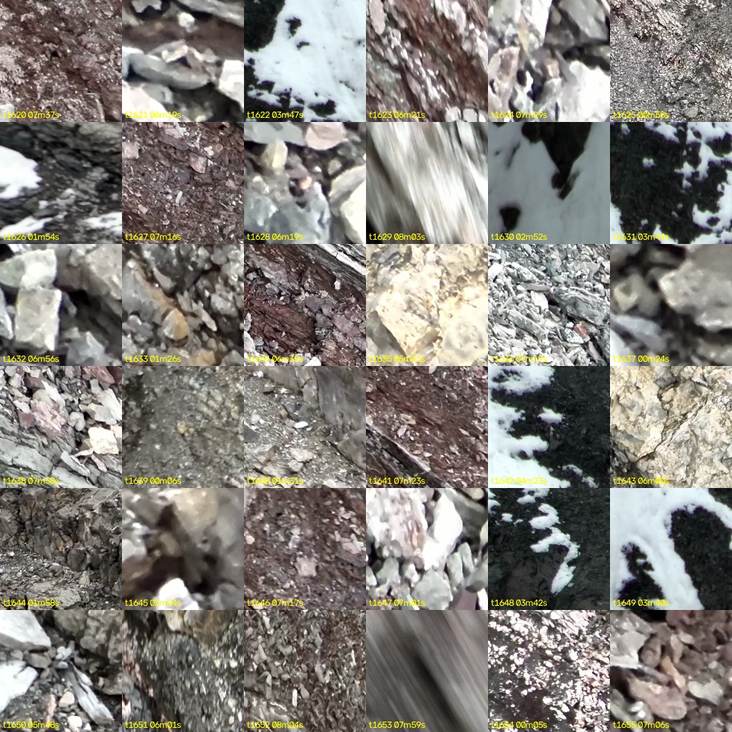 montage_45.jpg