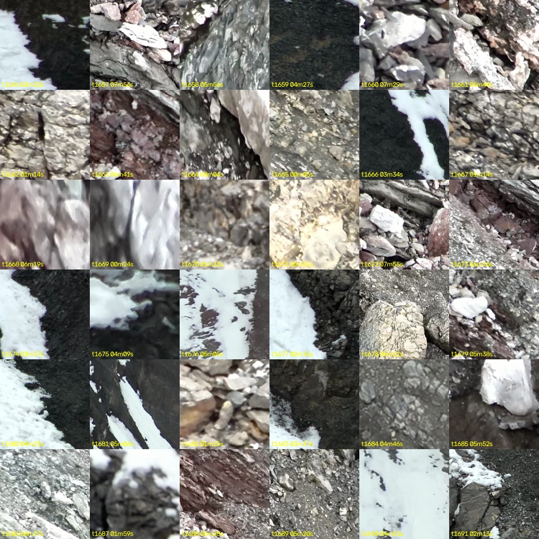 montage_46.jpg