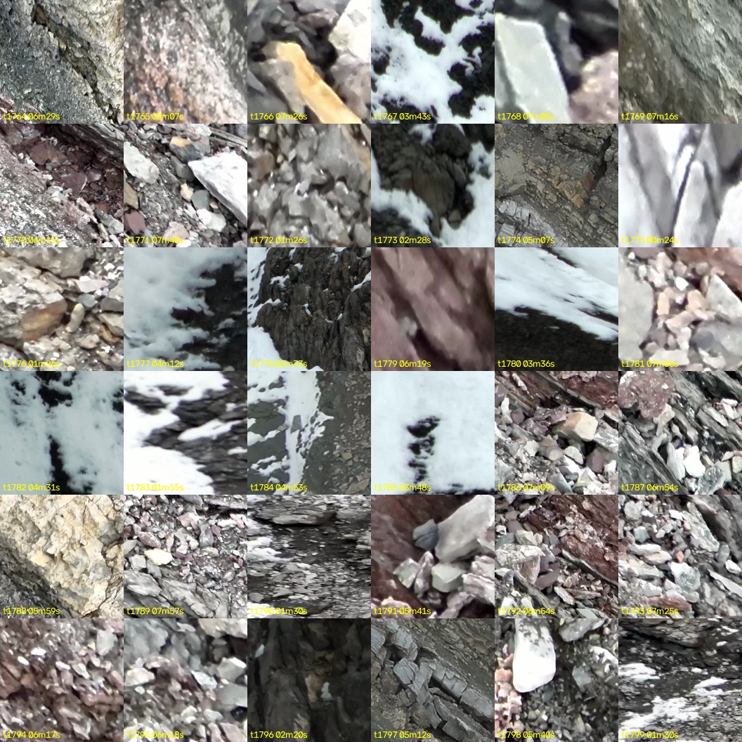montage_49.jpg