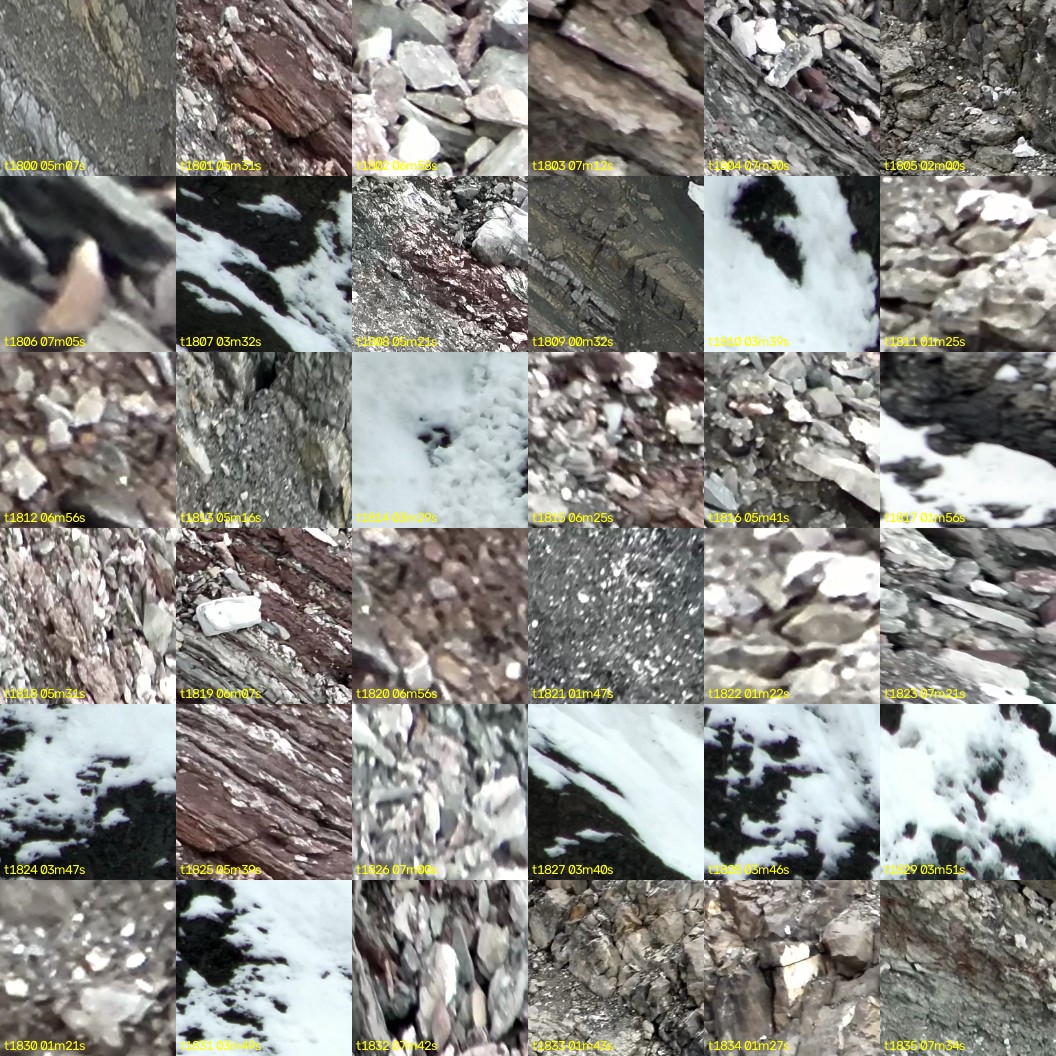 montage_50.jpg