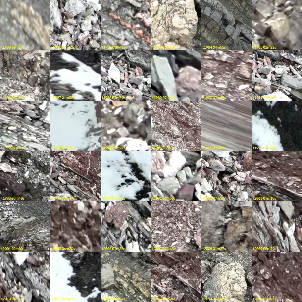 montage_55.jpg