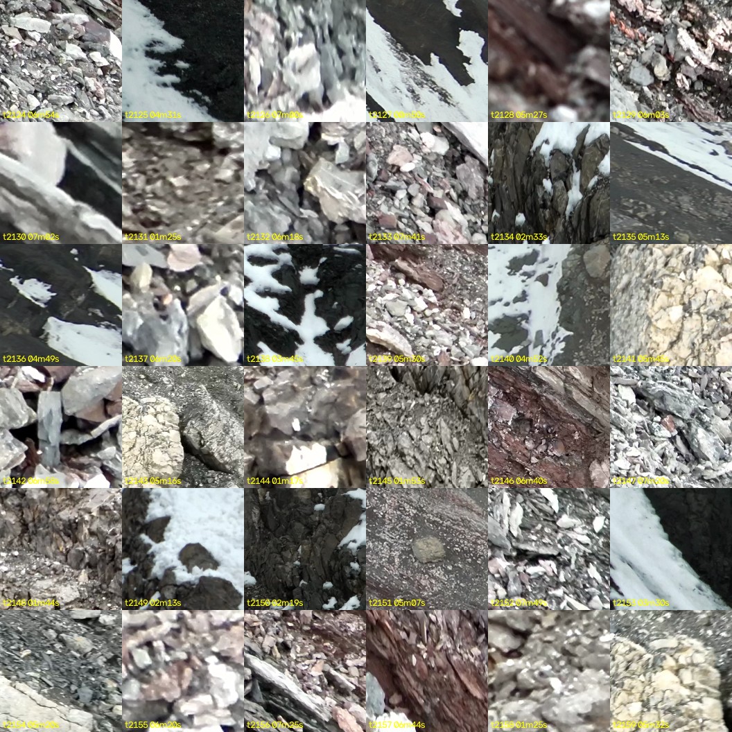 montage_59.jpg