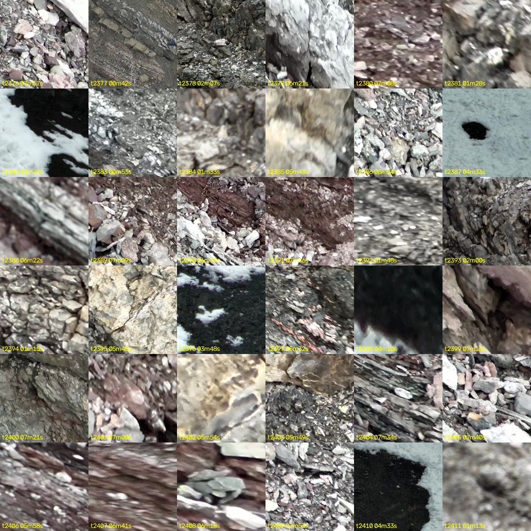 montage_66.jpg
