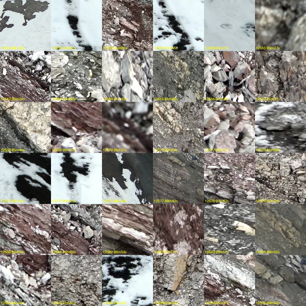 montage_71.jpg