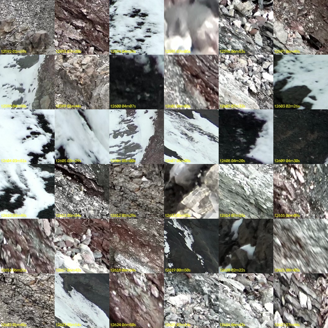 montage_72.jpg