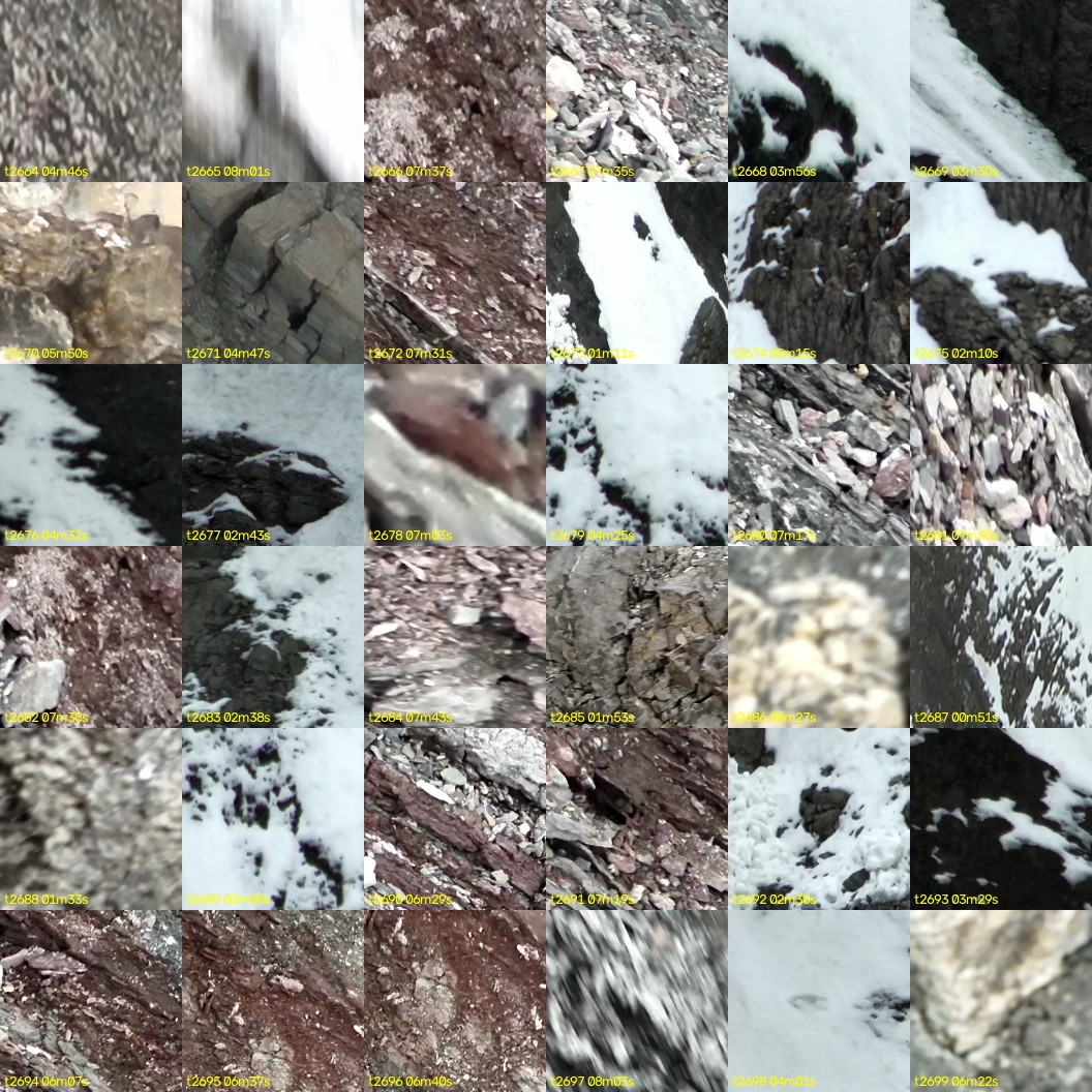 montage_74.jpg