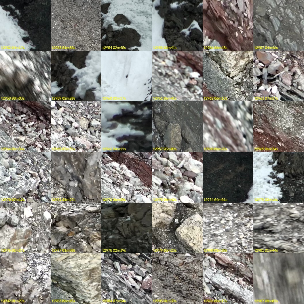 montage_82.jpg
