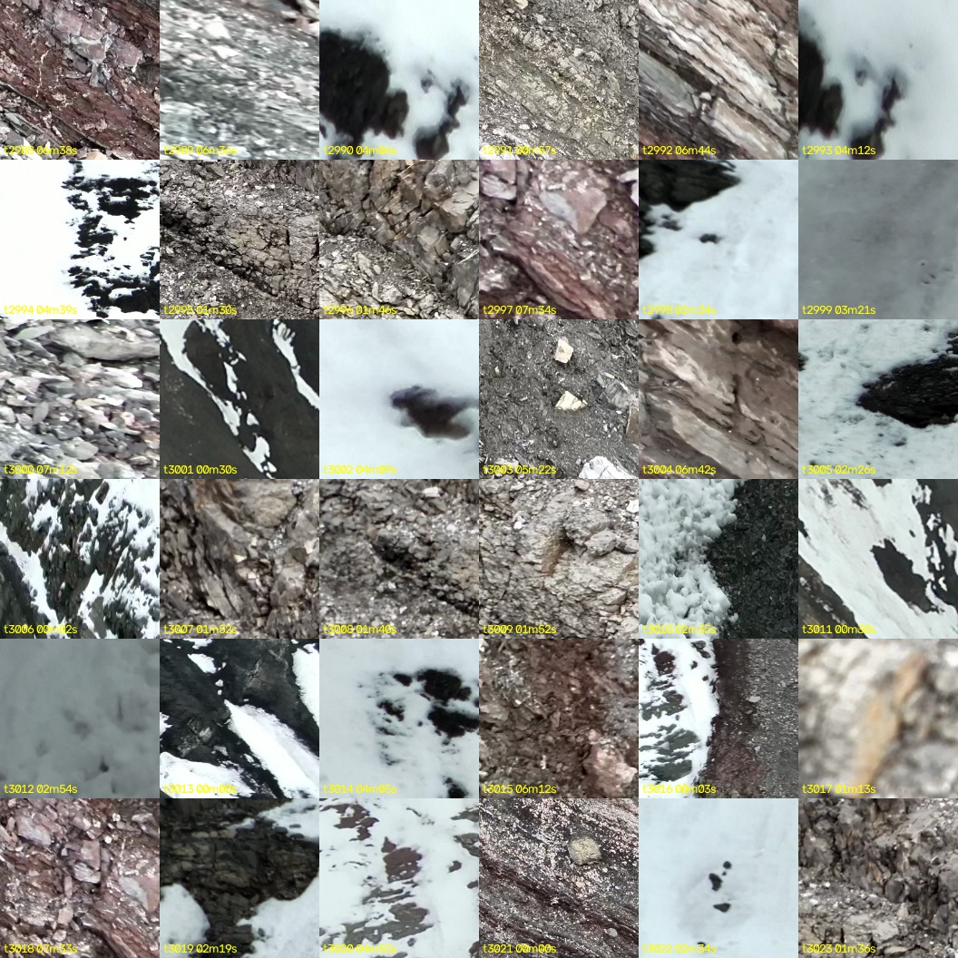 montage_83.jpg