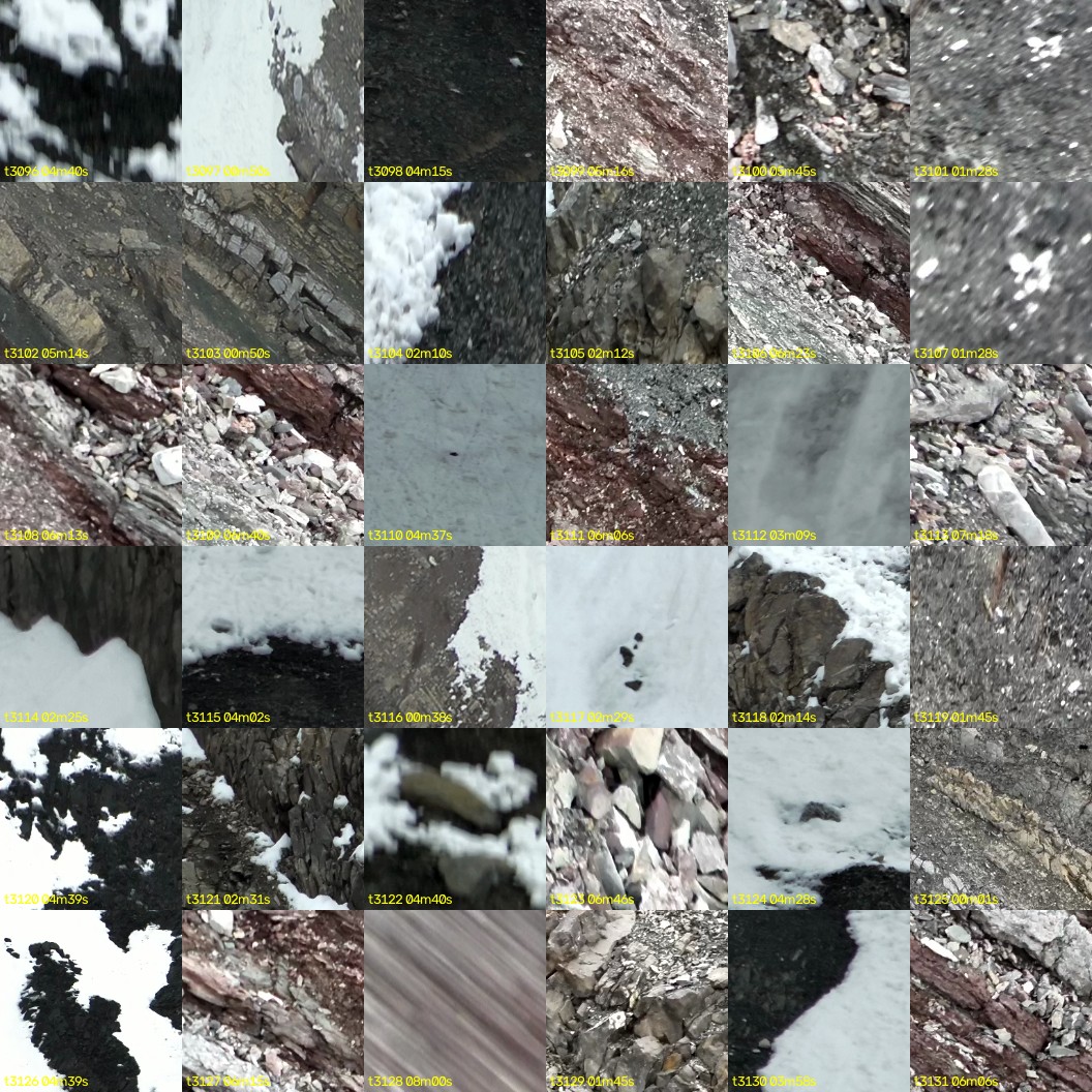 montage_86.jpg