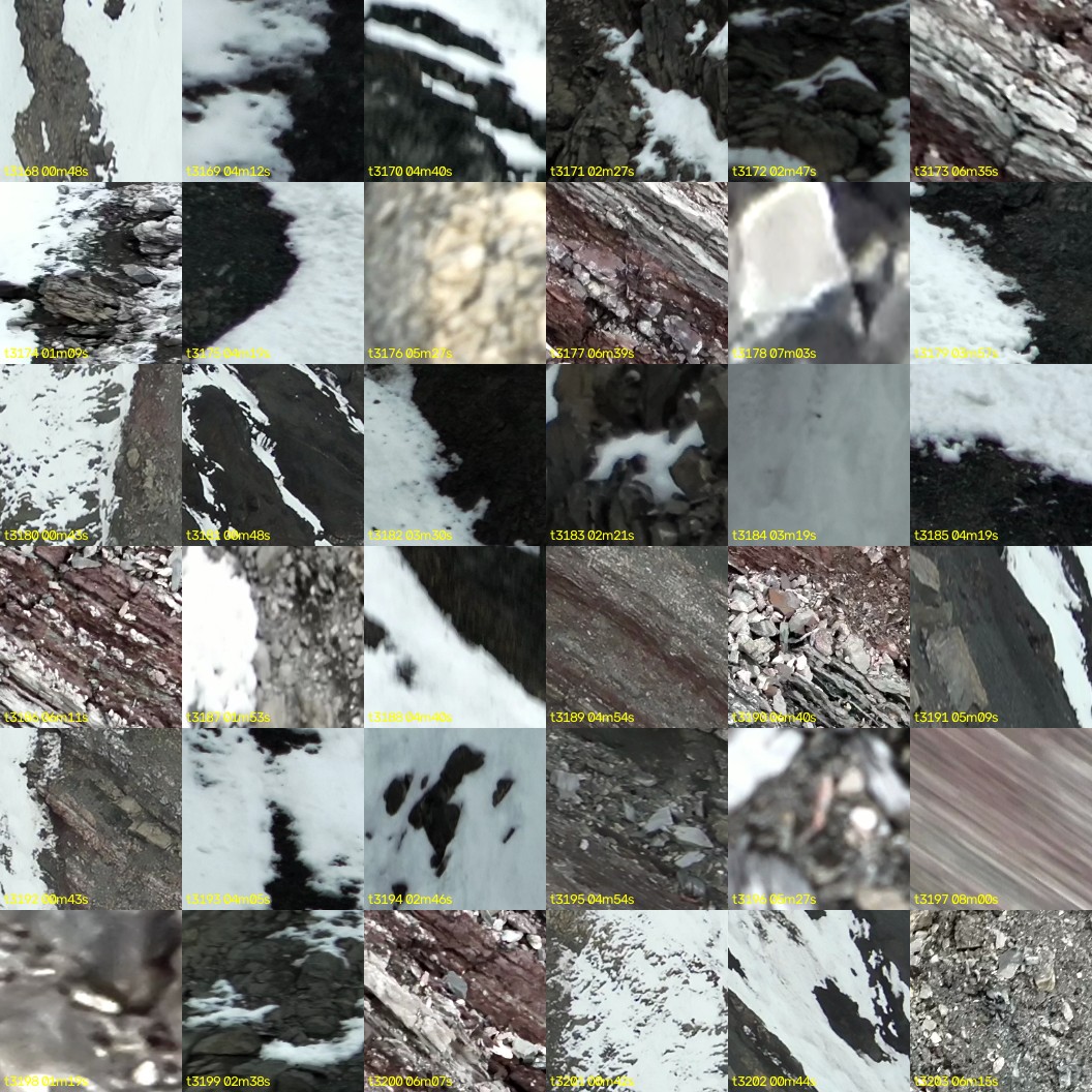 montage_88.jpg