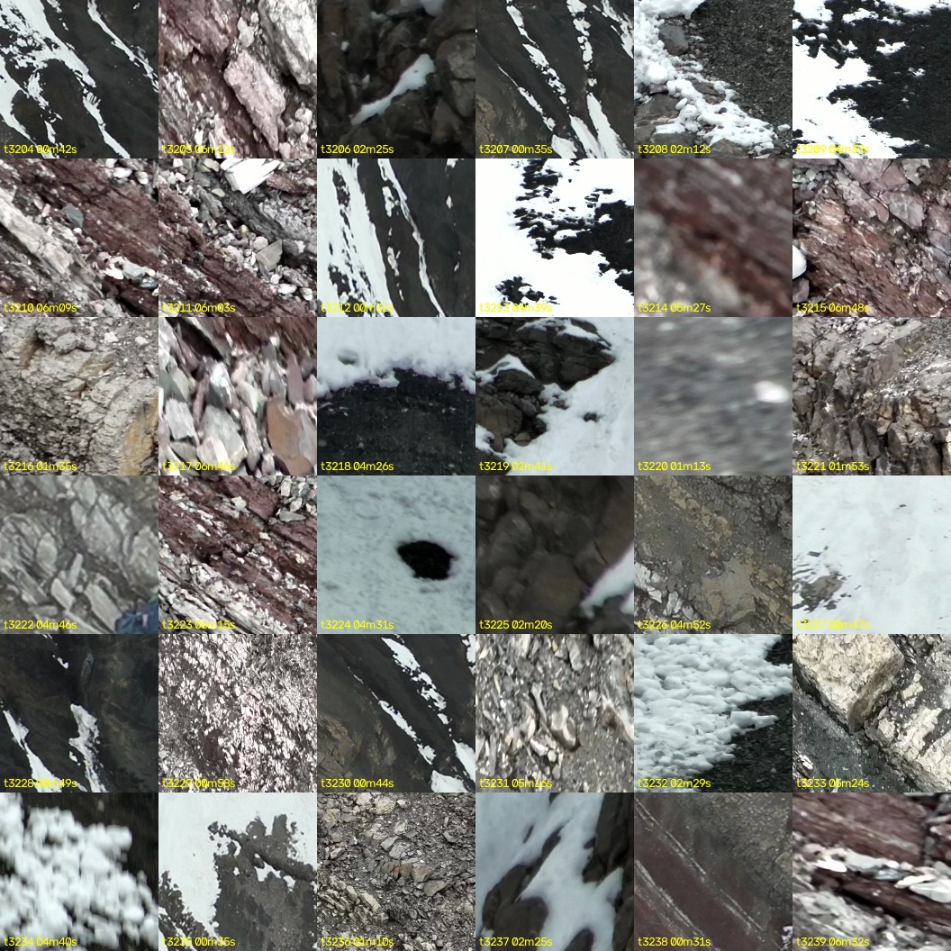 montage_89.jpg