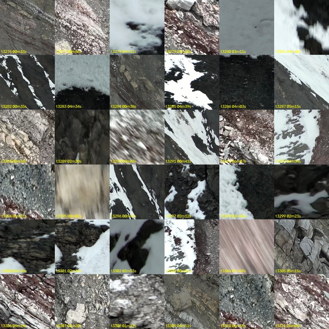 montage_91.jpg