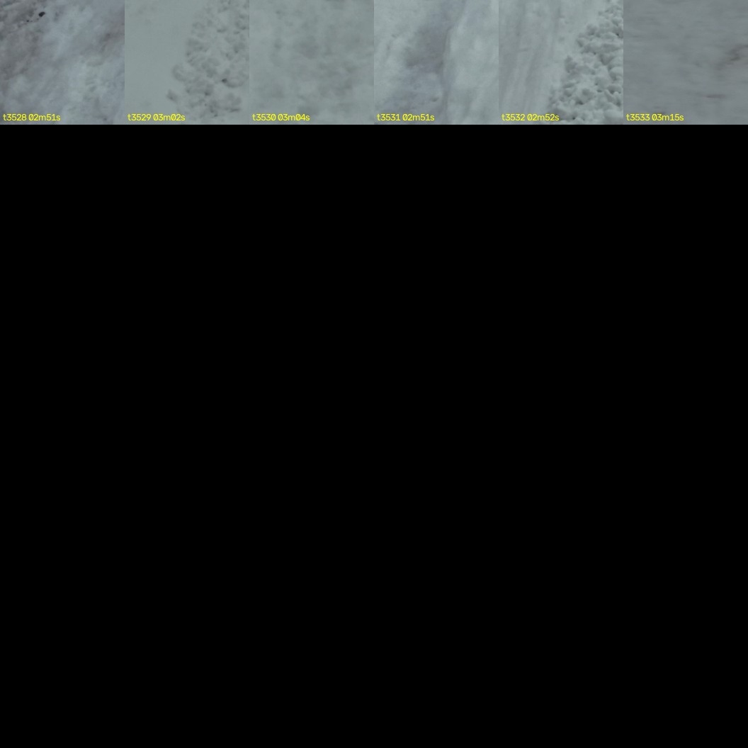 montage_98.jpg