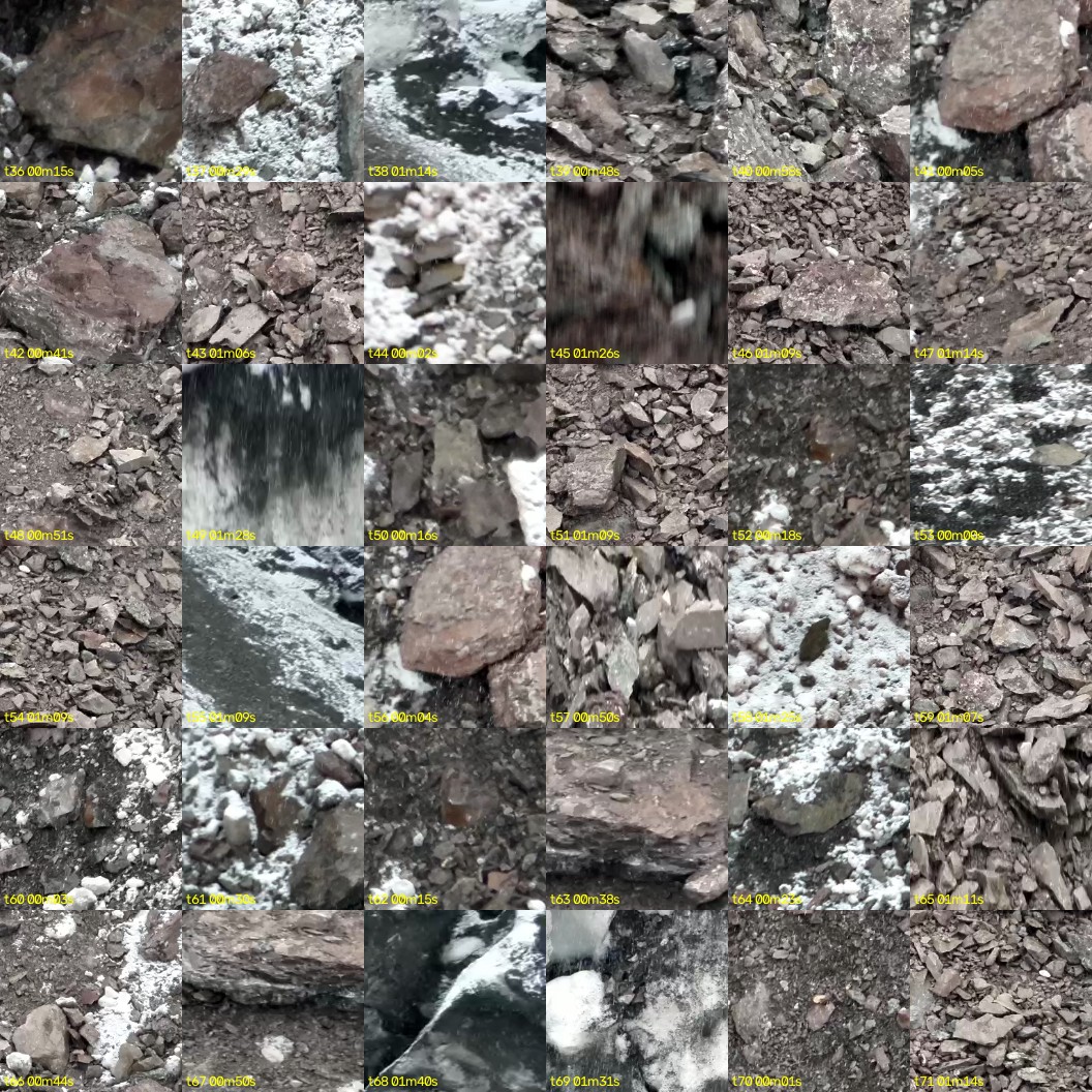 montage_01.jpg