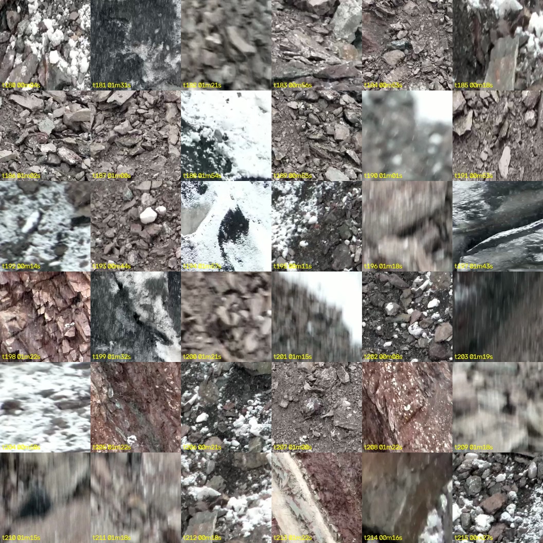 montage_05.jpg
