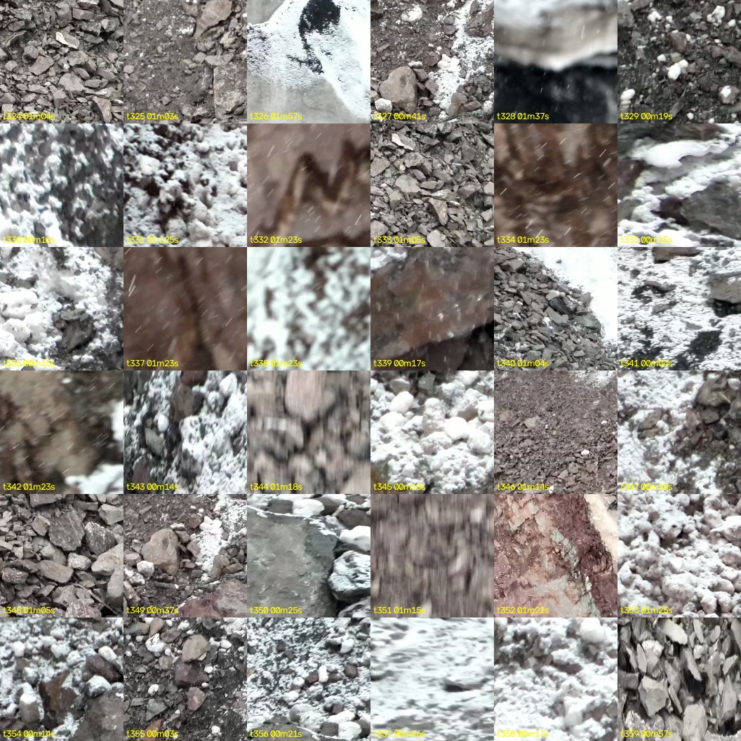 montage_09.jpg