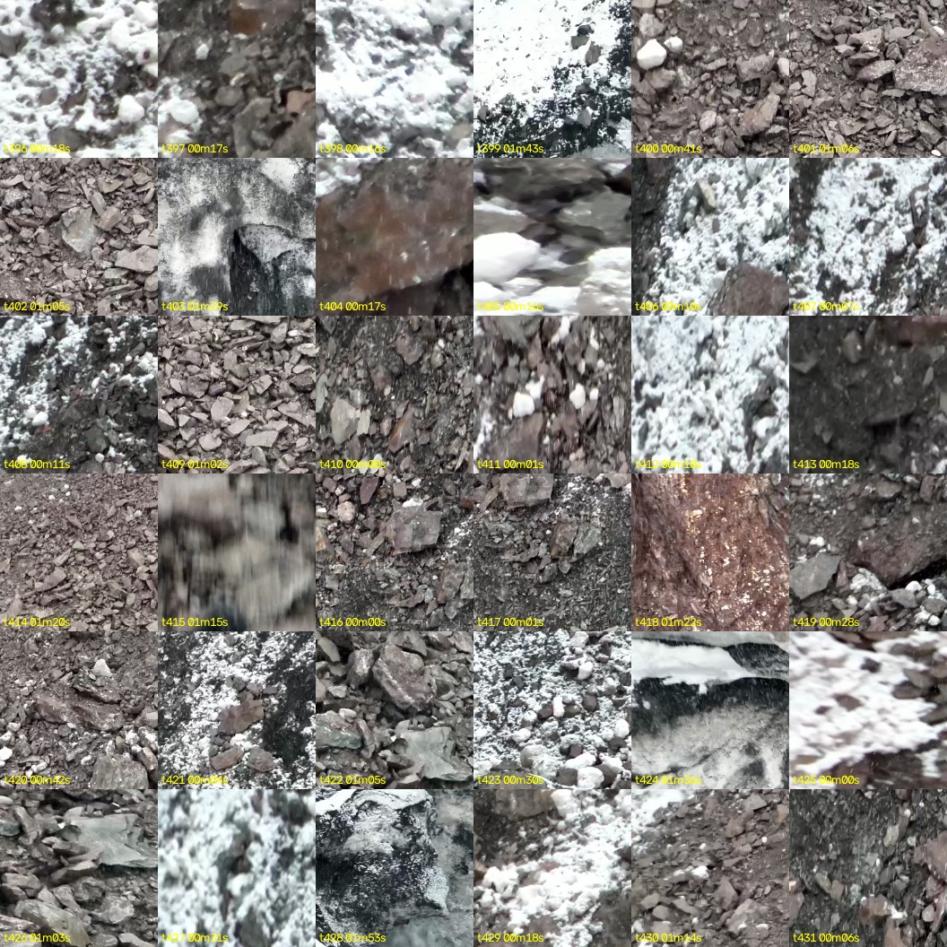 montage_11.jpg