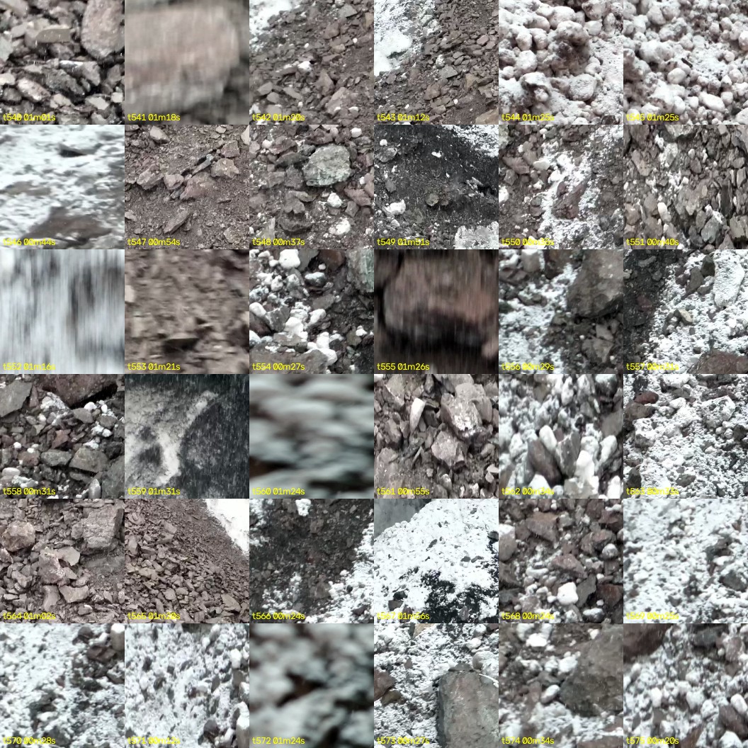 montage_15.jpg