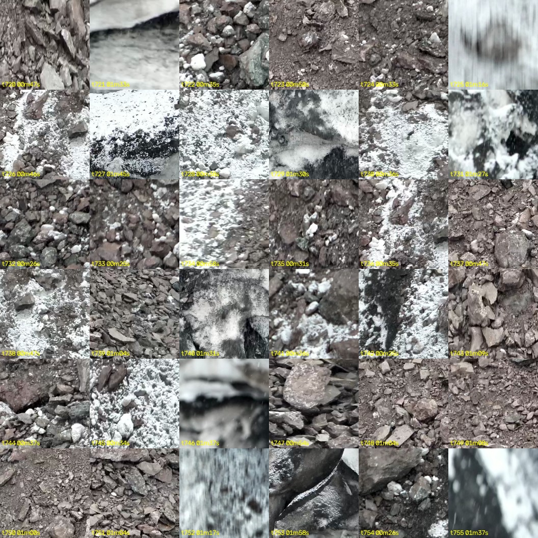 montage_20.jpg
