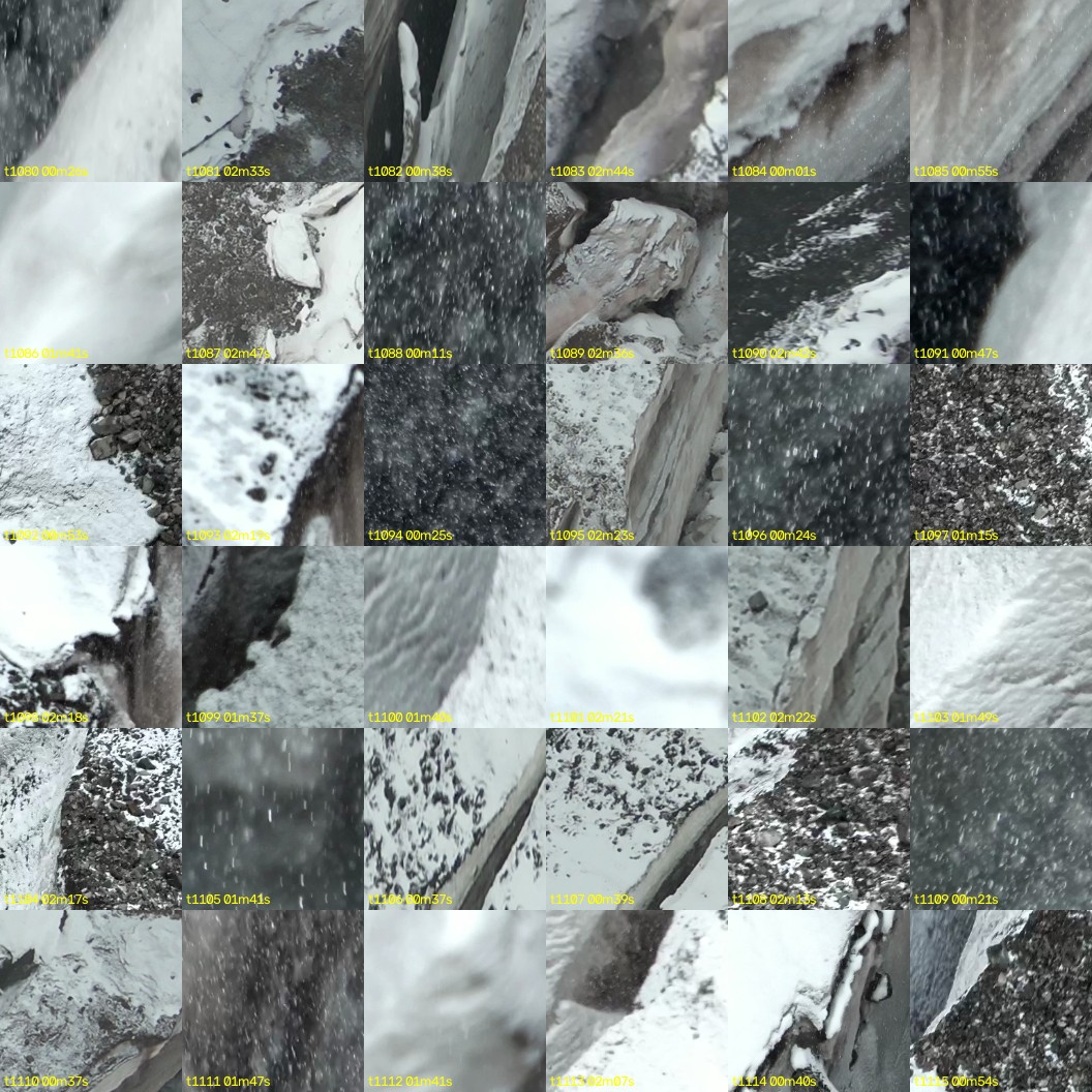 montage_30.jpg