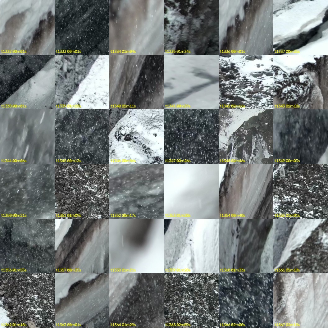 montage_37.jpg