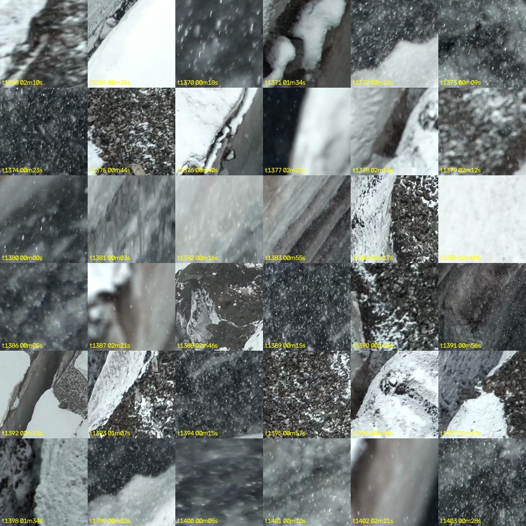 montage_38.jpg