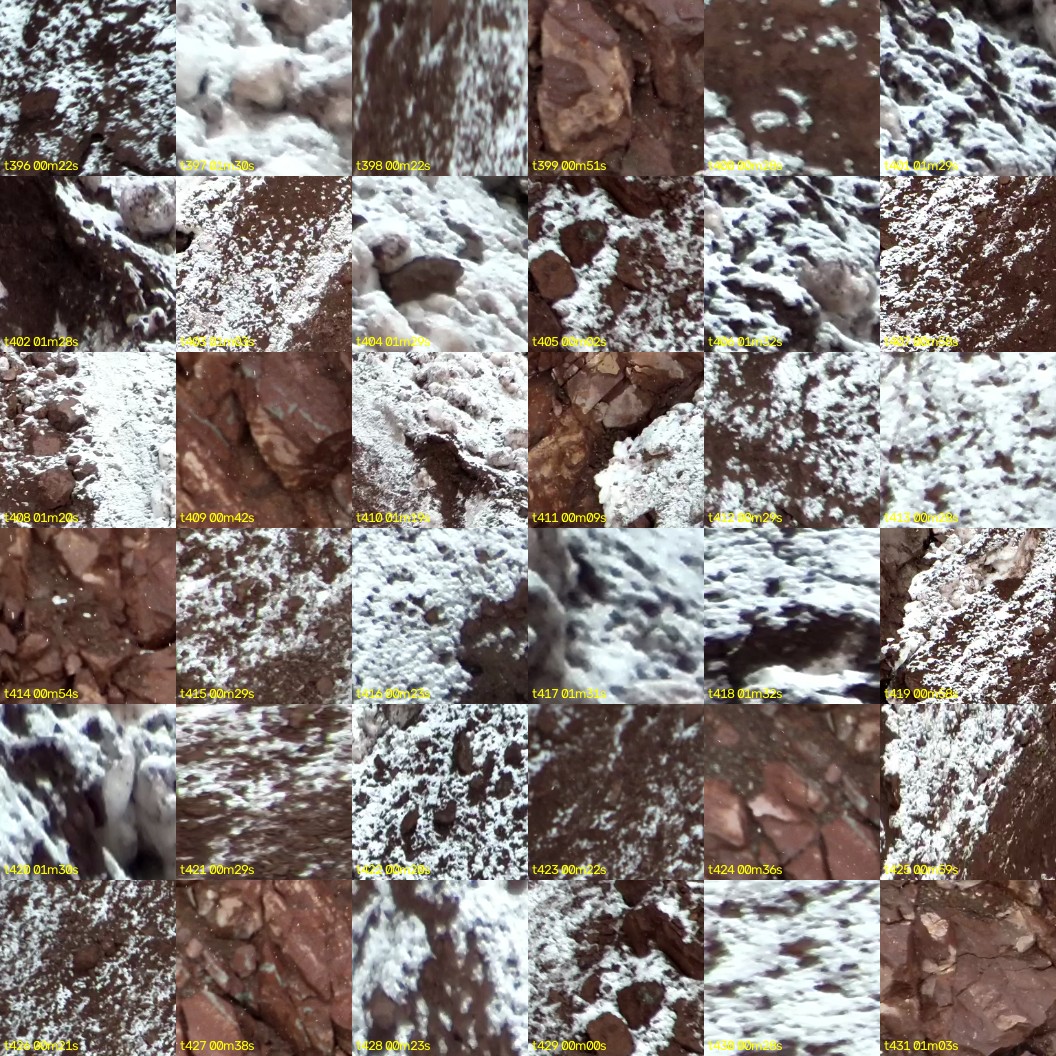 montage_11.jpg