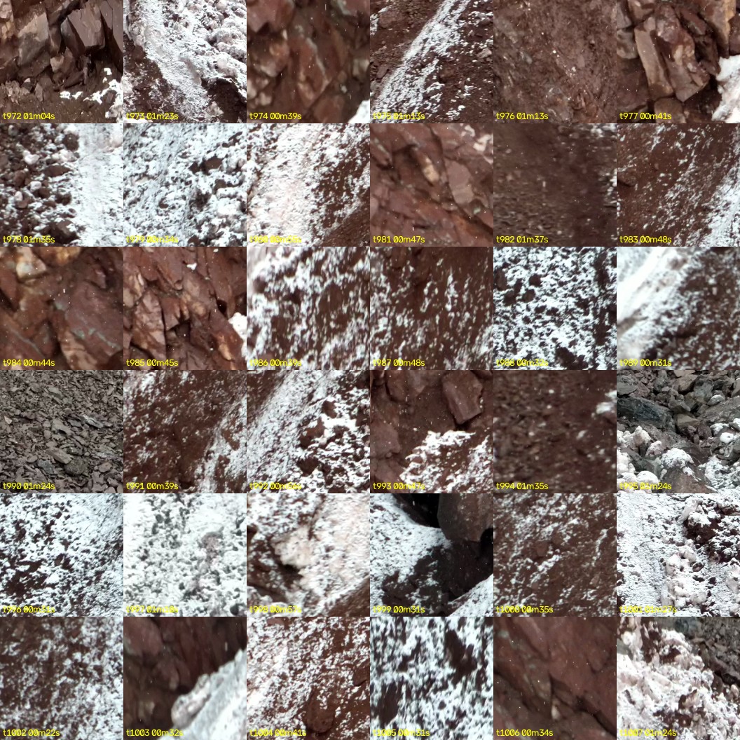 montage_27.jpg