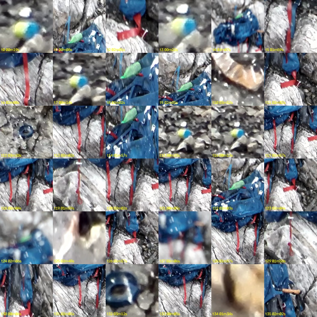 montage_00.jpg