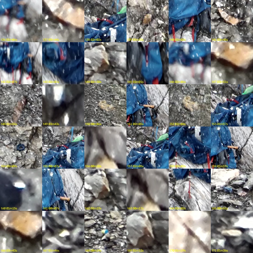 montage_01.jpg