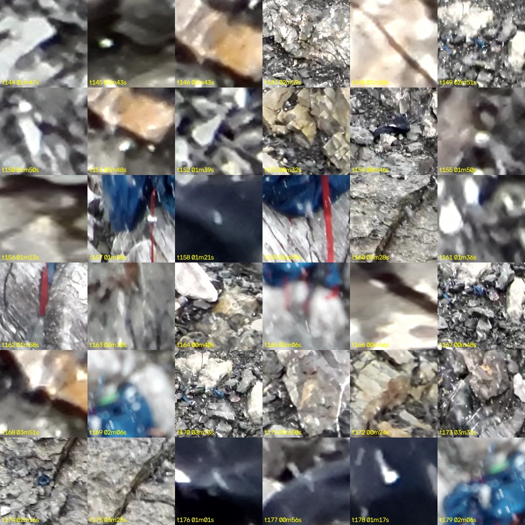 montage_04.jpg