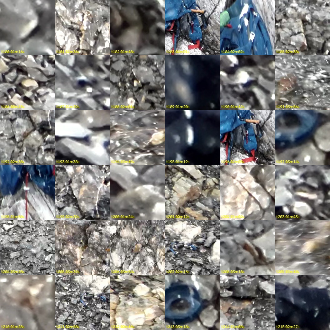 montage_05.jpg