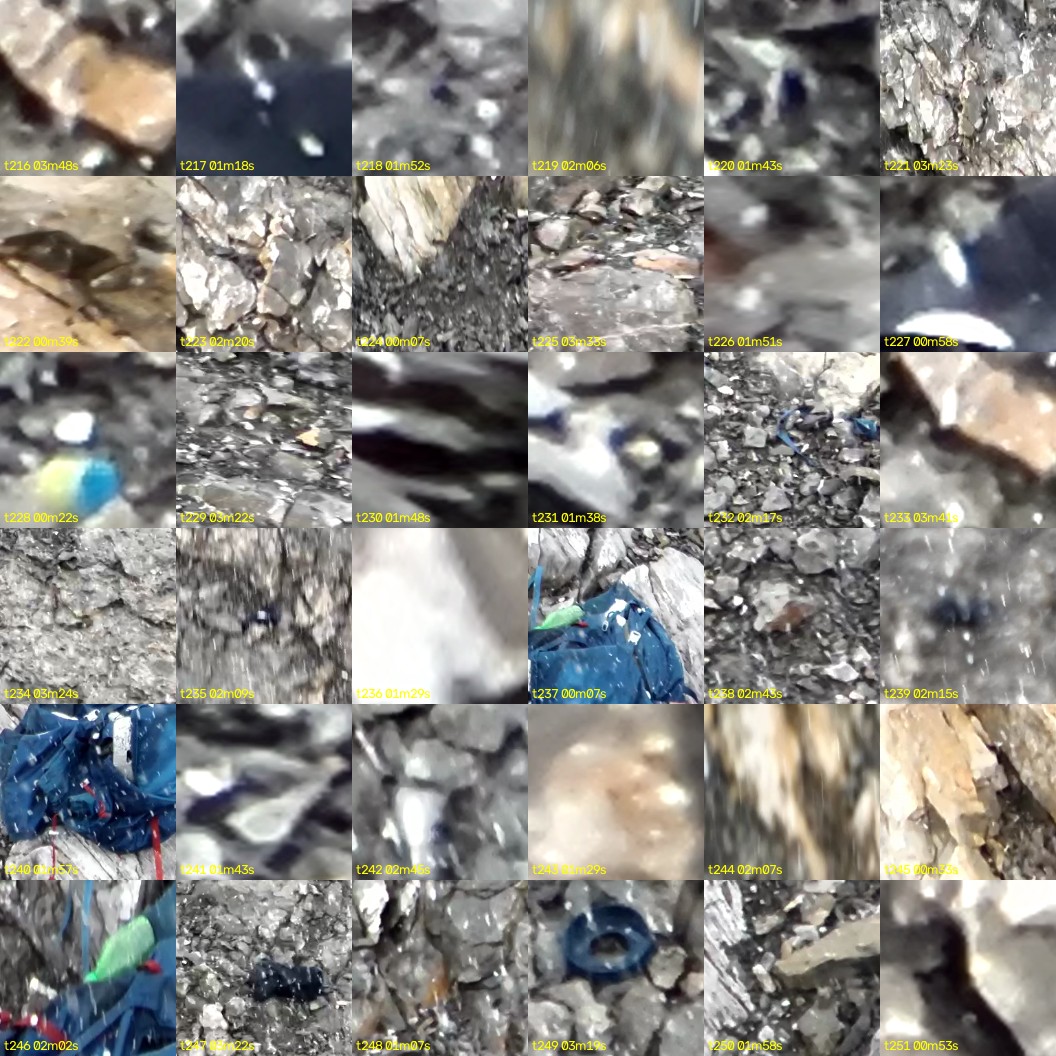 montage_06.jpg
