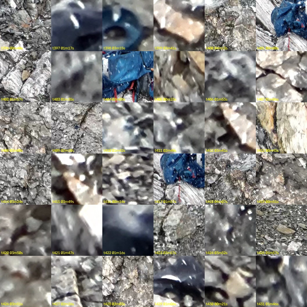 montage_11.jpg