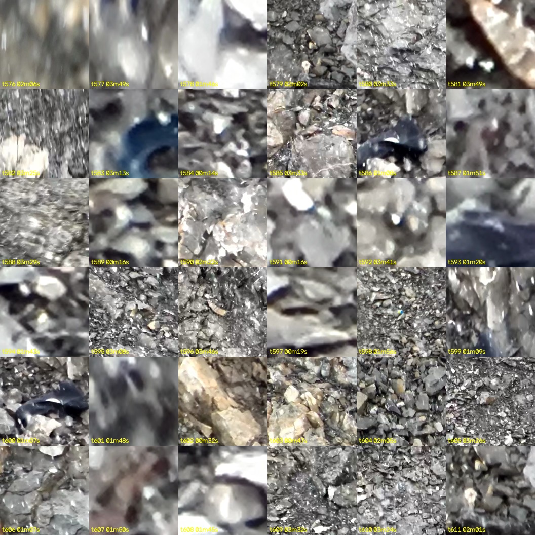 montage_16.jpg
