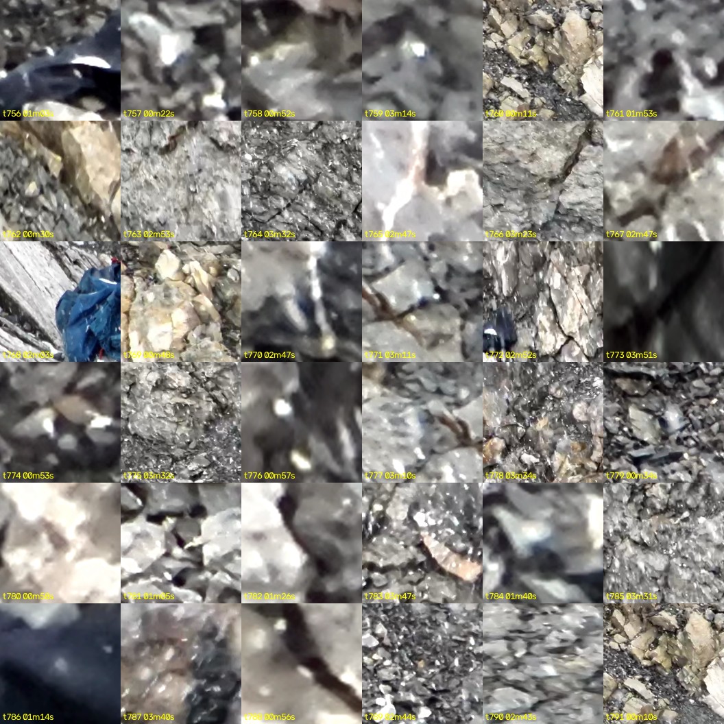 montage_21.jpg