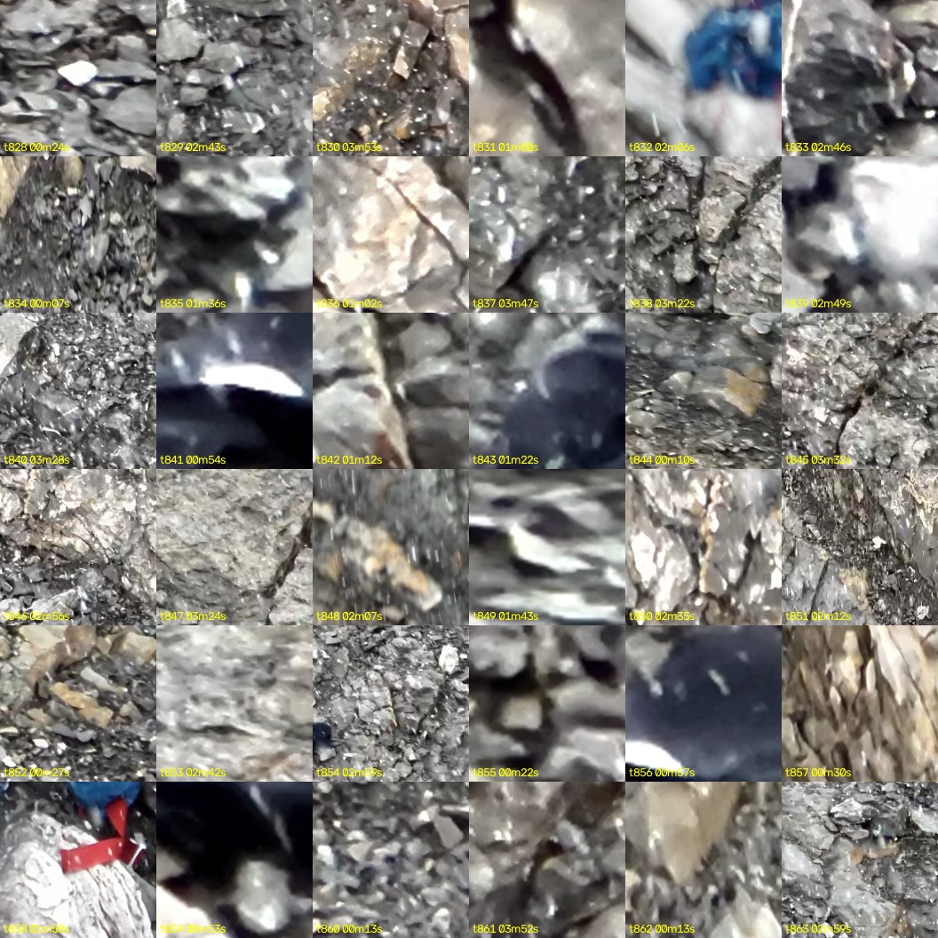 montage_23.jpg