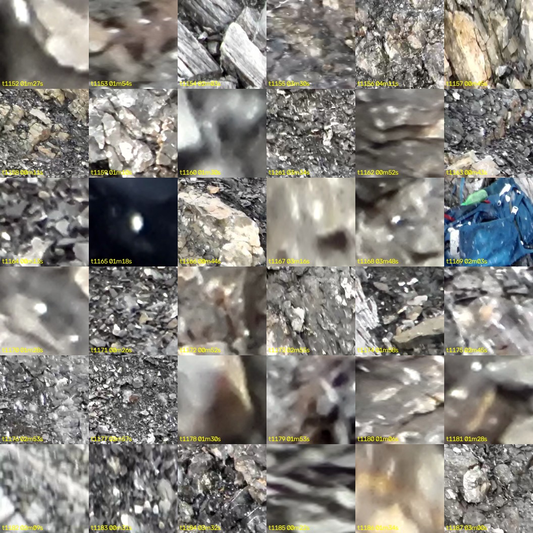 montage_32.jpg