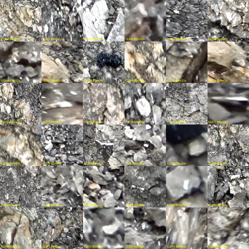 montage_35.jpg