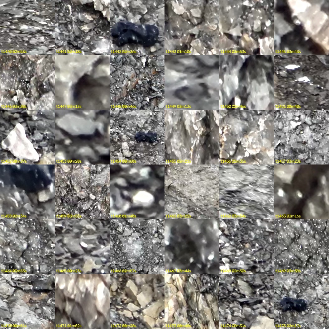 montage_40.jpg