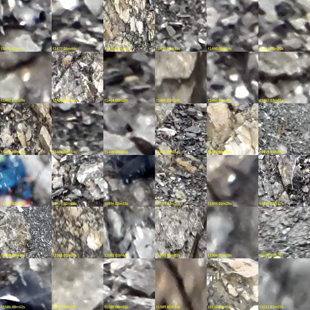 montage_41.jpg