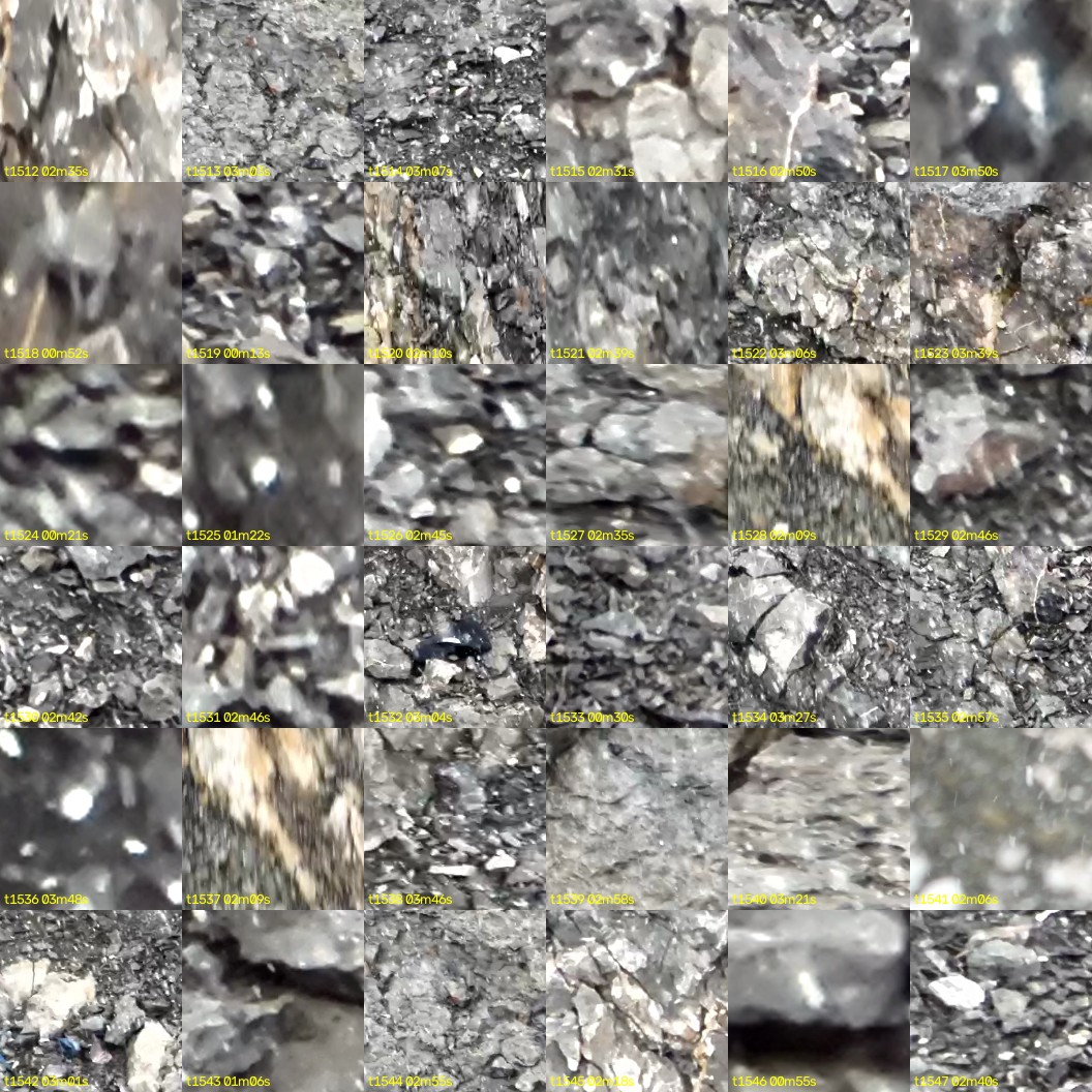 montage_42.jpg